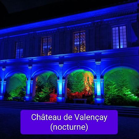Villa Esperanza Chambre De Plain-Pied, Independante, Proche Zoo De Beauval Et Chateaux De La Loire Valençay Buitenkant foto