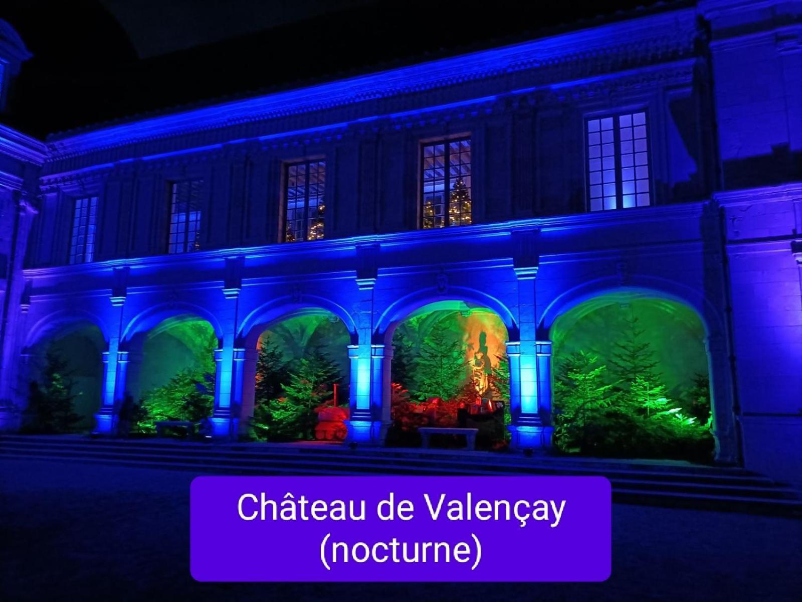 Villa Esperanza Chambre De Plain-Pied, Independante, Proche Zoo De Beauval Et Chateaux De La Loire Valençay Buitenkant foto